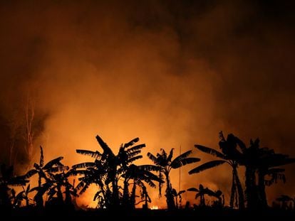 Un incendio quema un tramo de selva amazónica cerca de Porto Velho, en Brasil.
