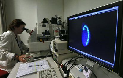 Una investigadora trabaja  en el servicio de Microscopía láser confocal y multidimensional in vivo. Centro de Investigaciones Biológicas (CIB). 