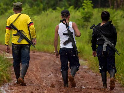 Disidentes de las FARC en Guaviare, Colombia.