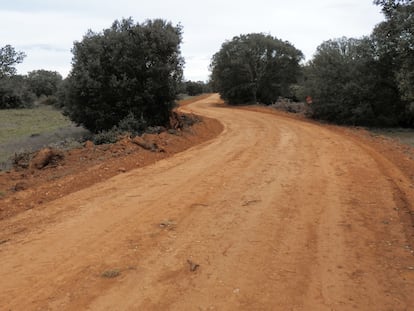 Calzada romana de Castrocalbón tras las obras realizadas por el Ayuntamiento.