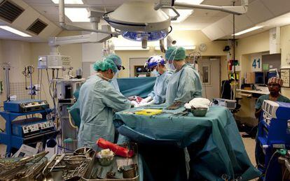 Imatge de l'equip responsable del naixement fent un trasplantament d'úter a l'abril.