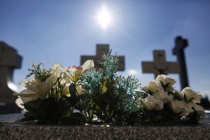 Flores sobre una lápida del cementerio de La Almudena de Madrid.
