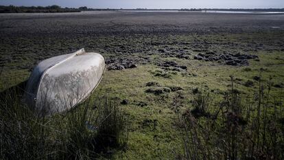 Las lagunas desaparecen de Doñana