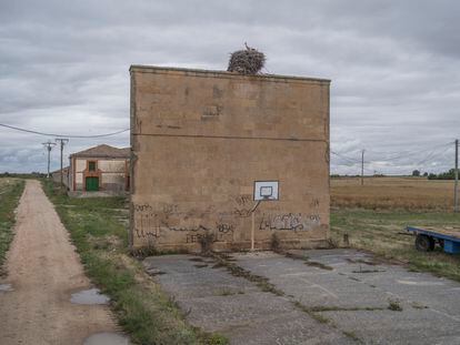 A disused pediment in Espino de la Orbada (Salamanca) becomes a watchtower that protects them from possible predators.