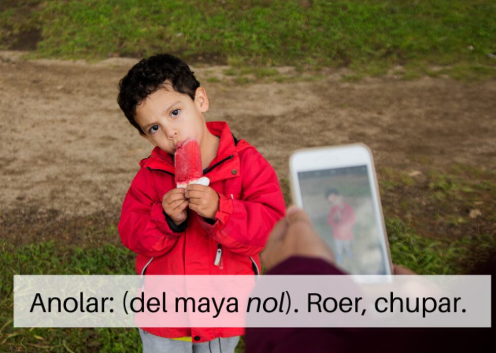 Un compendio de palabras yucatecas para ‘anolar’ la cultura maya | EL ...