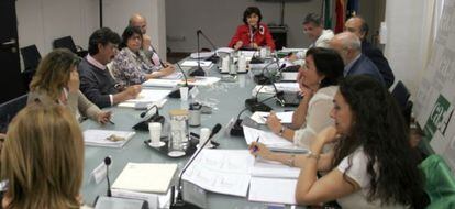 Jos&eacute; Arenzana, a la izquierda, en una imagen del pleno del Consejo Audiovisual publicada en la web del organismo. 