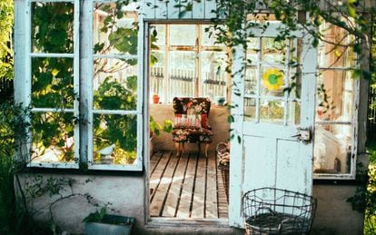 Las plantas nos ayudan a mantener una temperatura más suave en nuestra casa.