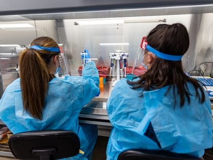 Dos microbiólogas procesaban test de covid y de viruela del mono en agosto en Nashville (Tennessee).
