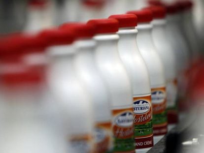 Botellas de leche en la f&aacute;brica de Central Lechera Asturiana, en Asturias.