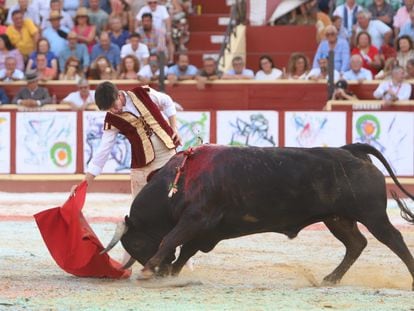 El toro 'Guineo' embiste humillado a la muleta de Esaú Fernández.