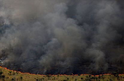 Un bosque en llamas durante la 'Operación Ola Verde' llevada a cabo por el Instituto de Medio Ambiente y Recursos Naturales Renovables de Brasil para combatir la tala ilegal en Apui, al sur del Amazonas, el 4 de agosto de 2017.