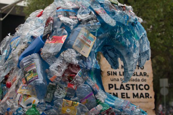 La ONU estima que en 2050 habrá más plásticos en los océanos que animales marinos si no se toman medidas para frenar la contaminación. La foto es un montaje de envases plásticos al exterior del Senado de México.