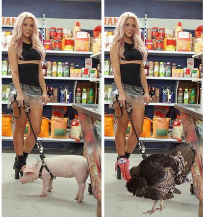 La cantante Shakira acaba de lanzar su nuevo tema, 'Chantaje'. En el videoclip aparece con un cerdo, animal que ha 'photoshopeado' por un pavo para celebrar la fiesta de Acción de Gracias a todos sus seguidores.