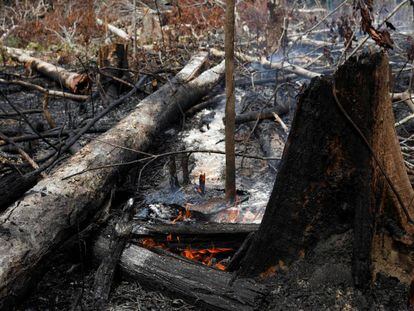 Los estragos causados por el incendio en la selva amazónica
