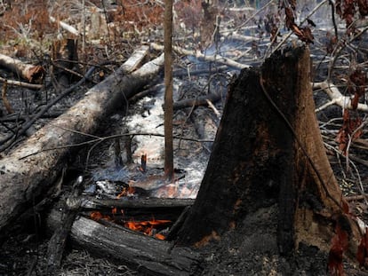 Los estragos causados por el incendio en la selva amazónica