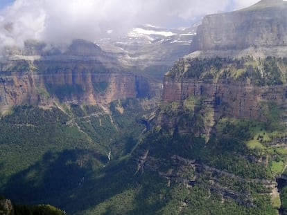 Los bosques del Pirineo, como los de pino negro de Ordesa y Monte Perdido (en la imagen) están entre los que se están expandiendo.