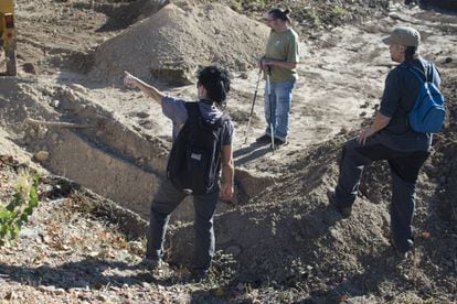 Lugar donde se realizan las labores de exhumaci&oacute;n de los cuerpos de varios maestros amigos de Machado en la localidad de Cobertelada (Soria). 