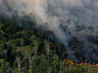 Un incendio forestal cerca de la ciudad de Porto Velho, en el Estado de Rondônia (Brasil).
