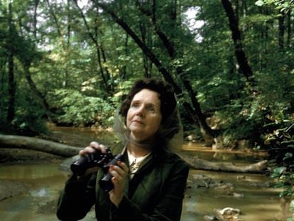 Rachel Carson en un bosque en 1962.