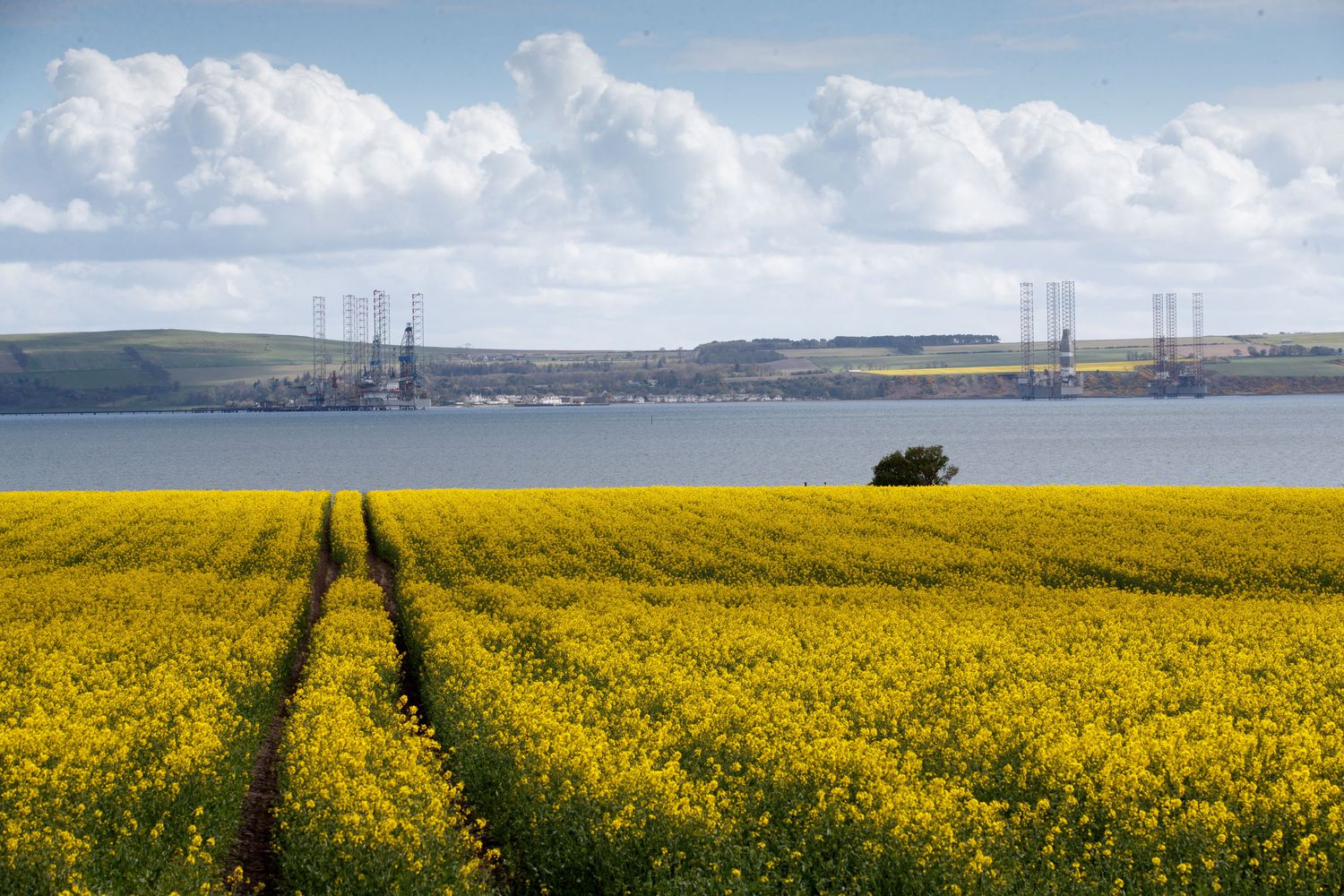 Plataformas petroleras en desuso en Cromarty Firth (Escocia), este martes.