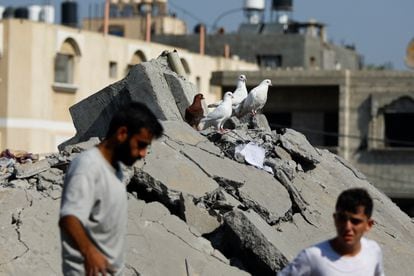 Dos palestinos pasan junto a una bandada de palomas posadas entre los escombros de un edificio destruido, este miércoles en Jan Yunis. 