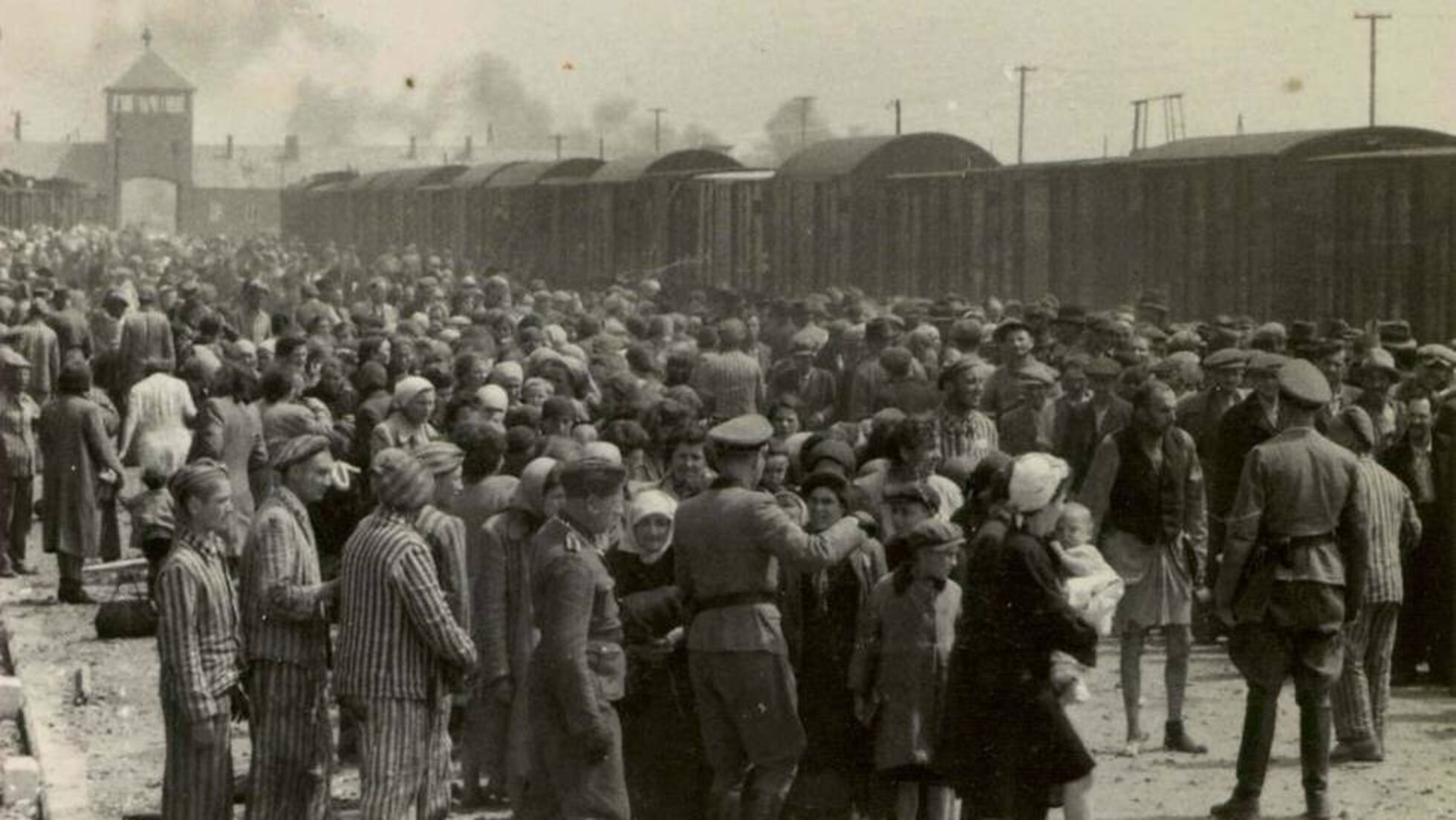 Por Que Hablamos De Seis Millones De Muertos En El Holocausto Sepa Usted El Pais