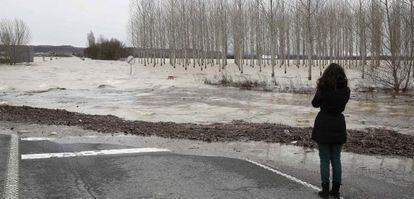 El desbordamiento del Ebro cortó este lunes la N-113 a la altura del municipio navarro de Castejón.