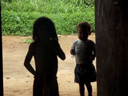 Niños del pueblo sanöma, que vive en la Tierra Indígena Yanomami, en la frontera entre Brasil y Venezuela.