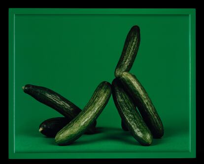 'फारसी खीरे', शुक हकरमेल, 2007।