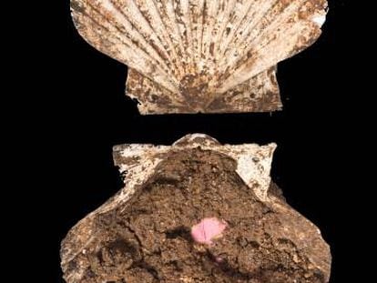 Una concha de vieira con una especie de colorete rosa de 2.000 años de antigüedad.