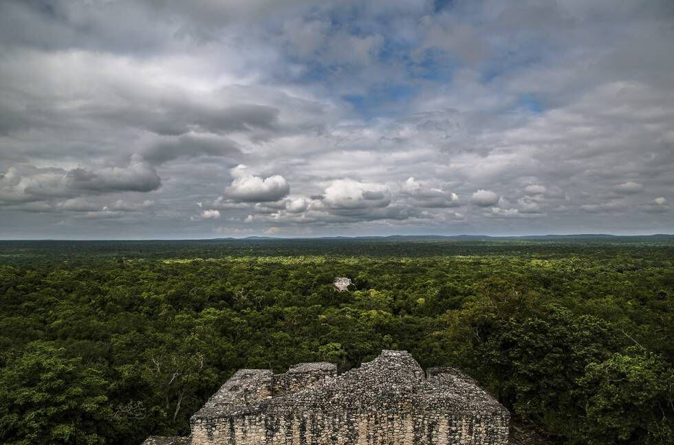 La reserva de la biosfera de Calakmul.