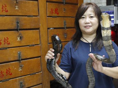 Chau Ka Ling saca una cobra de su jaula.