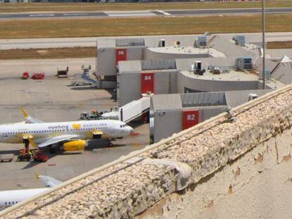 01/06/2018 Spotter Day.  El Aeropuerto de Palma ha reunido este viernes la V edición del 'Spotter Day' que ha contado con la participación de más de 20 aficionados a la fotografía aeronáutica.  ECONOMIA ESPAÑA EUROPA ISLAS BALEARES AENA 