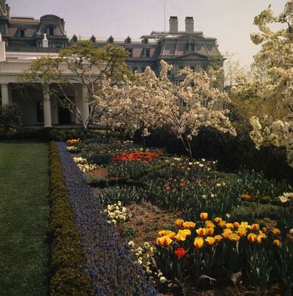 El jardín visto el 27 de abril de 1963, cuando la floración estaba en su apogeo. |