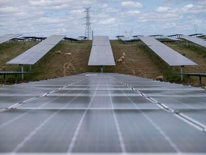 Una planta fotovoltaica en Trujillo (Cáceres), a mediados de 2021.