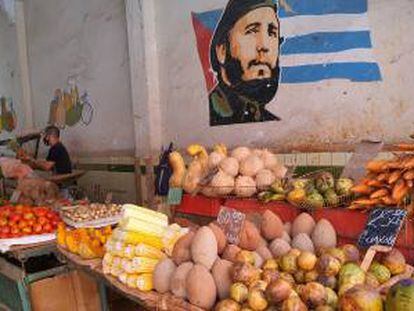 Puesto de frutas y verduras en La Habana Vieja.