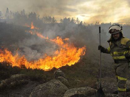 Los servicios de extinción luchan contra el fuego