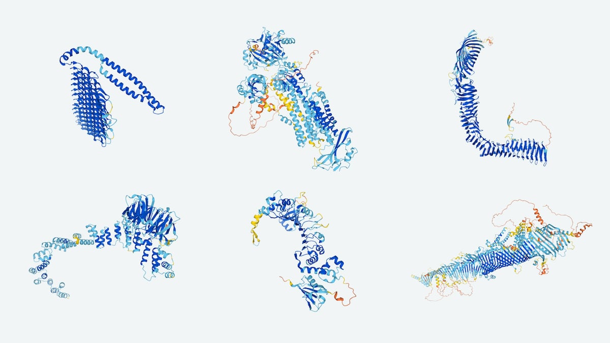 Google identifica millones de mutaciones en las proteínas capaces de generar enfermedades | Ciencia