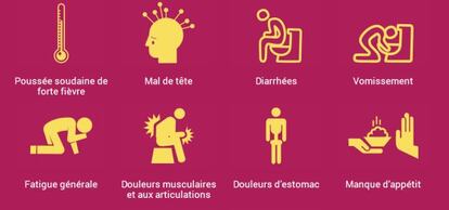 Infografías de consejos difundidas por Facebook y Twitter.