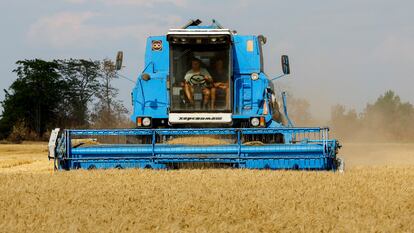 A wheat harvester in the Russian-controlled village of Muzykivka in the Kherson region. 