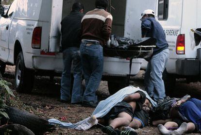 Algunos cadáveres de los seis hombres asesinados el martes en Cuernavaca.