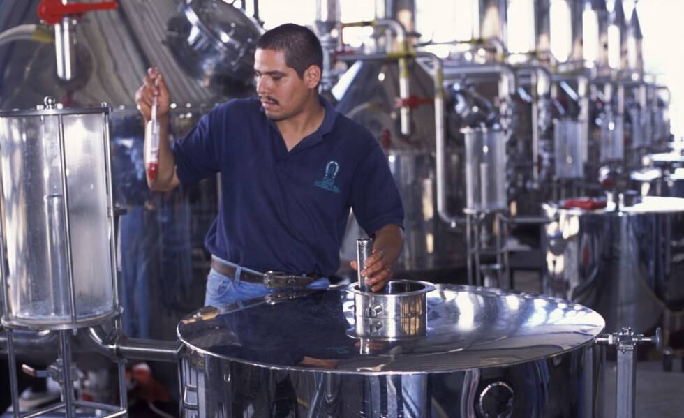 El guardián del tequila auténtico Universidades EL PAÍS