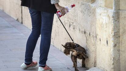 Una propietaria usa una botella de agua para limpiar el pis de su mascota en una calle de Valencia.