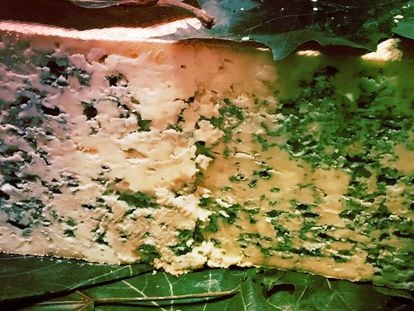 Imagen del queso azul de Valdeón listo para su degustación.