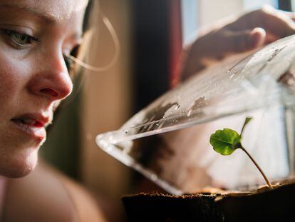 Una mujer observa el crecimiento de sus plantas. En los primeros momentos, una nueva planta o un huerto hace mucha la ilusión, pero rápidamente suelen surgir las dudas y los problemas.