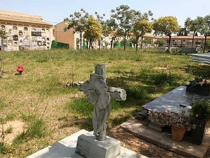 En la imagen, una de las parcelas de la sección séptima del Cementerio General de Valencia.