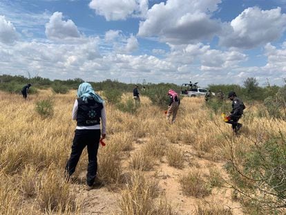 Efectivos de la Policía e integrantes de la Comisión Nacional de Búsqueda trabajan en un predio en Tamaulipas.