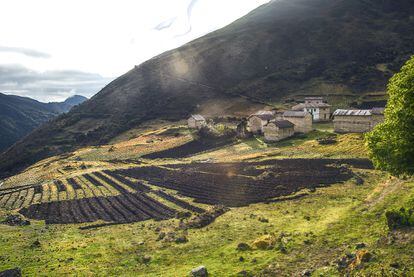 Comunidad Campesina de Churco, cerca del Santuario Nacional Pampa Hermosa.
