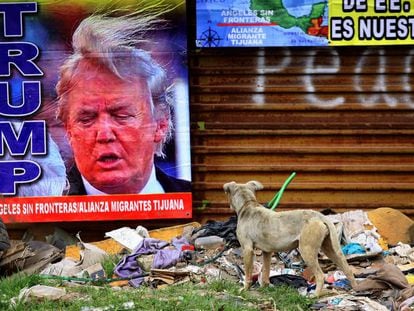 Trump visita el muro entre EEUU y M&eacute;xico