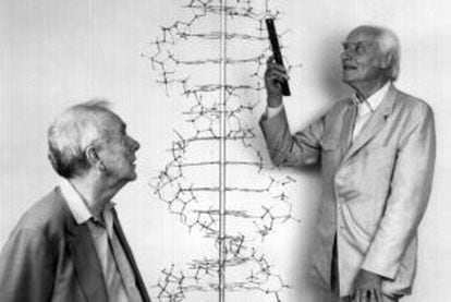 Francis Crick (derecha) y James Watson posan en el laboratorio Cold Spring Harbor.